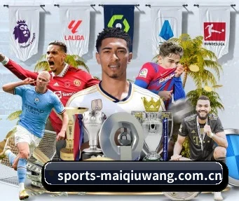 sports-maiqiuwang.com.cn APP